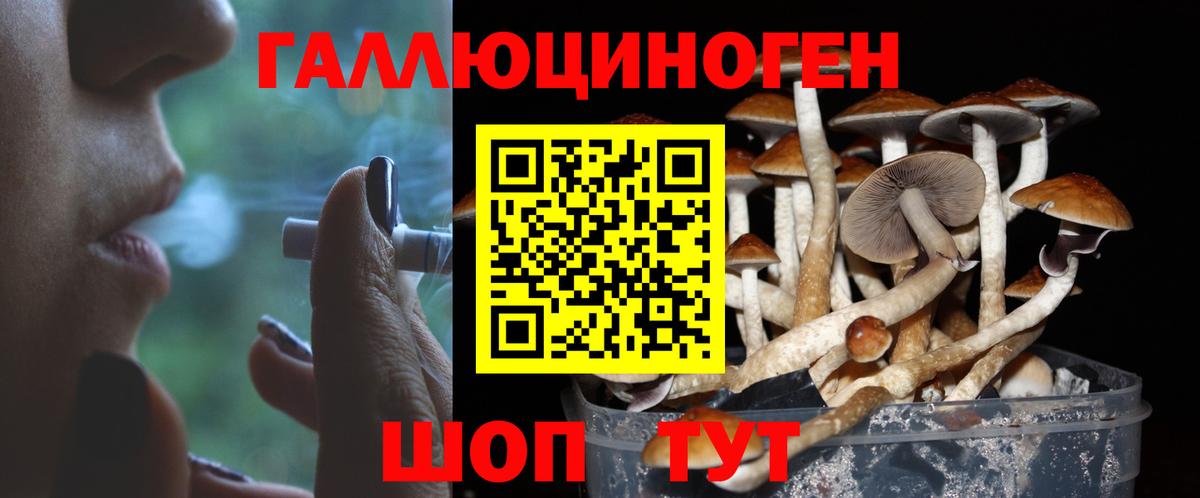 Псилоцибиновые грибы Magic Shrooms  Вход с VPN  Димитровград  купить наркоту  Псилоцибиновые грибы прущие грибы 